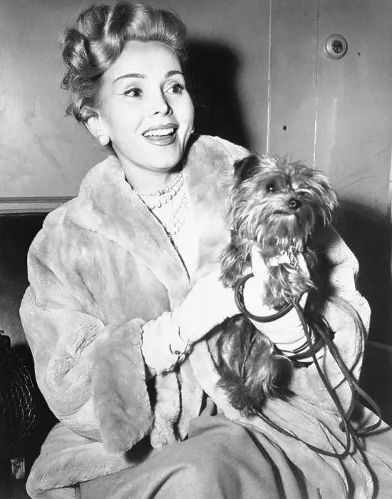 Framed Print : Zsa Zsa Gabor Posing With Her Dog Framed Print : Zsa Zsa Gabor Posing With Her Dog