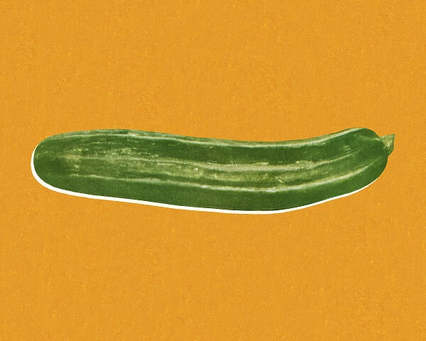 Zucchini. http: /  / csaimages.com / images / istockprofile / csa_vector_dsp.jpg