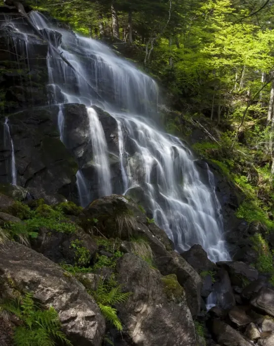 Framed Print : Zweribach waterfalls at Mt Kandel, Black Forest, Baden-Wuerttemberg, Germany, Europe Framed Print : Zweribach waterfalls at Mt Kandel, Black Forest, Baden-Wuerttemberg, Germany, Europe