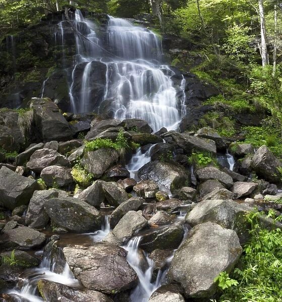 Zweribach waterfalls at Mt Kandel, Black Forest, Baden-Wuerttemberg, Germany, Europe
