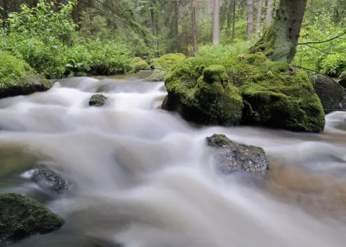 Framed Print : Zwettlbach brook, Gross Gerungs, Waldviertel region, Lower Austria, Austria, Europe Framed Print : Zwettlbach brook, Gross Gerungs, Waldviertel region, Lower Austria, Austria, Europe