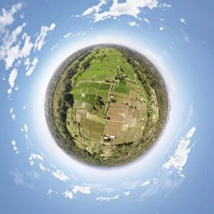 360 View above the Rice Paddies in Bali, Indonesia