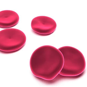 3d-rendering, red blood cells, erythrocytes