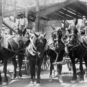 521, adults, antique, black & white, carriages, caucasian, equines, group portrait