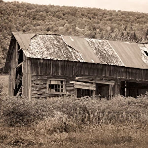 Abandoned Barn