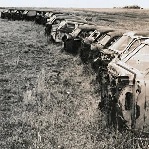 Abandoned Cars in a Row in a Field