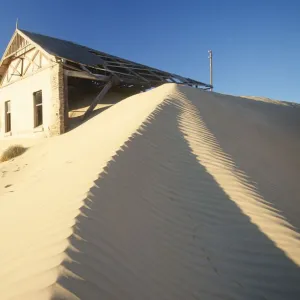 Images Dated 2006 November: 14 Nov 2006