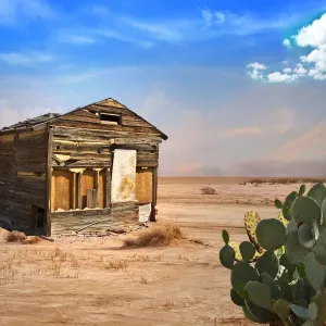 Arizona Desert Shack Print with Prickly Pear Cactus Arizona Desert Shack Print with Prickly Pear Cactus