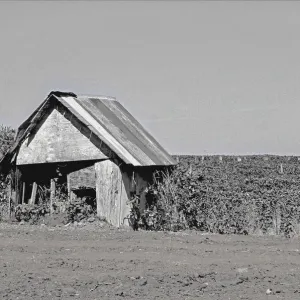 An Abandoned Shed Near Mount Angel, Oregon An Abandoned Shed Near Mount Angel, Oregon