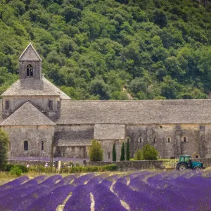 Abbaye Notre-Dame de S├®nanque Print Abbaye Notre-Dame de S├®nanque Print