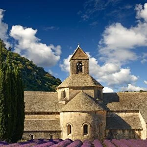 abbaye notre-dame de senanque, acreage, blossoming, building, common lavender, cultivate