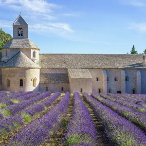 Abbaye Notre-Dame de Sénanque at dusk, Provence, France Abbaye Notre-Dame de Sénanque at dusk, Provence, France