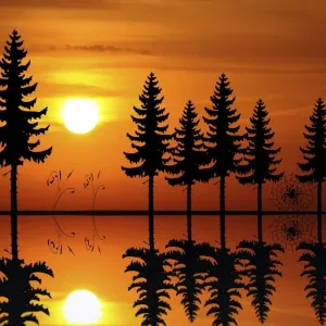 abies, afterglow, atmospheric, backlit, cobweb, evening light, evenings, graphic abies, afterglow, atmospheric, backlit, cobweb, evening light, evenings, graphic