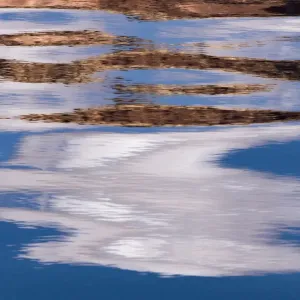Glen Canyon Wall Reflections Print Glen Canyon Wall Reflections Print