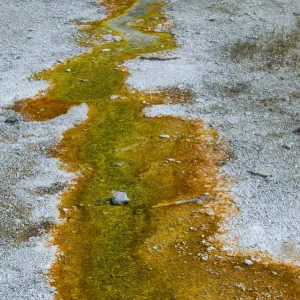 Abstract designs formed from thermophile runoff and mineral deposits, Upper Geyser Basin, Yellowstone National Park, Wyoming, USA Abstract designs formed from thermophile runoff and mineral deposits, Upper Geyser Basin, Yellowstone National Park, Wyoming, USA