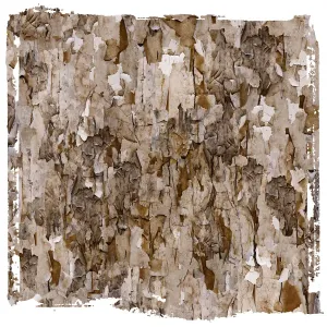 Abstract Pattern of Peeling Lead Paint