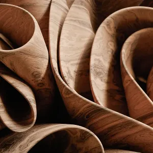 Abstract Wooden Curves and Swirls Artistic Background Abstract Wooden Curves and Swirls Artistic Background