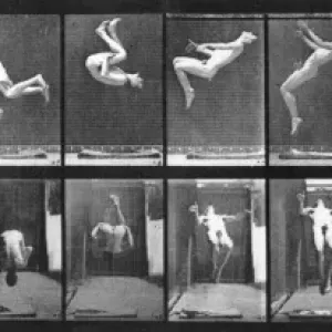 Acrobat Acrobat