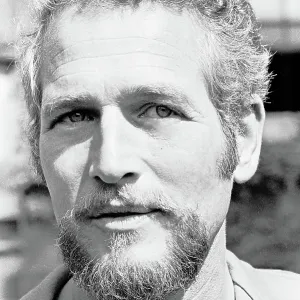 Actor Paul Newman At A Press Conference Actor Paul Newman At A Press Conference