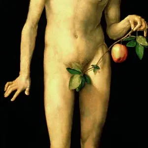 Adam, 1507. Artist: Albrecht Dürer Adam, 1507. Artist: Albrecht Dürer