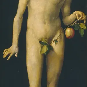 Adam, 1507. Artist: Dürer, Albrecht (1471-1528) Adam, 1507. Artist: Dürer, Albrecht (1471-1528)