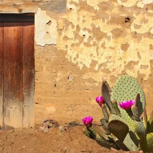 Adobe Wall Print with Wooden Door and Prickly Pear Cactus Adobe Wall Print with Wooden Door and Prickly Pear Cactus