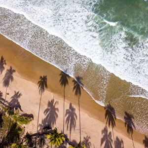 Aerial view of Palm Beach and the sea in Praia do Paiva - Praia de Itapuama - Pedra de Xareu