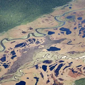 Aerial View of Peat Bog (Wetlands) in Ushuaia