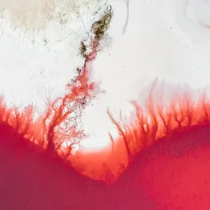 Aerial view of the salty pink lake. Pink Salt Lake Hutt Lagoon