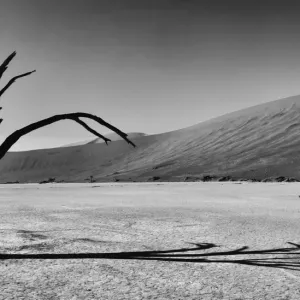 Africa, Black, Dead Vlei, Dune, Grey, Namibia, Orange, Sand, Scale, Silver, Sossusvlei Africa, Black, Dead Vlei, Dune, Grey, Namibia, Orange, Sand, Scale, Silver, Sossusvlei