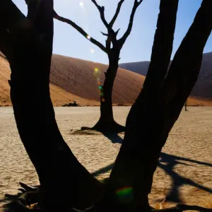 Africa, Dead Vlei, Dune, Namibia, Orange, Sand, Sossusvlei, UNESCO, UNESCO World Africa, Dead Vlei, Dune, Namibia, Orange, Sand, Sossusvlei, UNESCO, UNESCO World