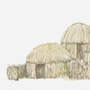 Africa, Kenya, Gabra huts made from acacia roots and sisal grass