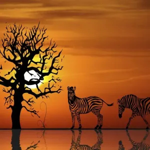 african, afterglow, atmospheric, backlit, bare, evening light, evenings, graphic african, afterglow, atmospheric, backlit, bare, evening light, evenings, graphic