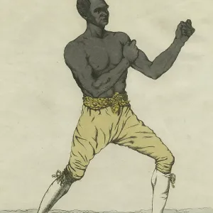 African-American Boxer