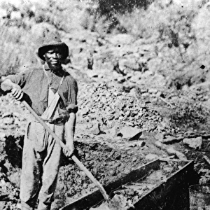 African-American Gold Miner