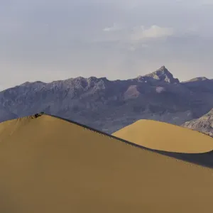 Afternoon Sand Dunes Afternoon Sand Dunes