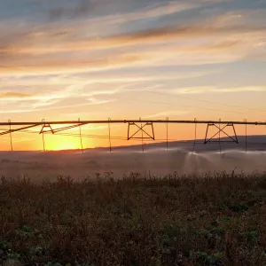 Agricultural Landscape Picture of Center Pivot Irrigation at Sunset on Farm in Magaliesburg, North West Province, South Africa