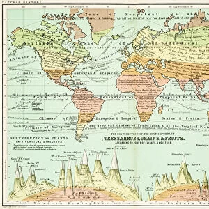 Agricultural Map of the world 1861