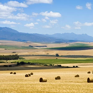 Agriculture, Bale, Cloud, Crop, Dry, Farm, Field, Harvesting, Hay, Haystack, Landscape