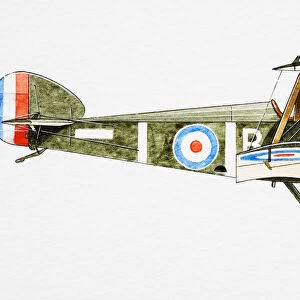 Airforce, Airplanes, Aviation, Biplane, Colour Image, Fighter Aircraft, First World War