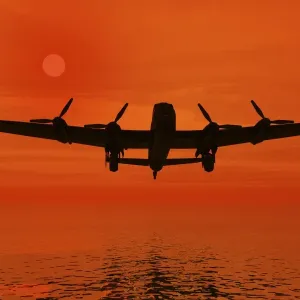 Airplane Sunset Print