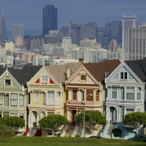 Alamo Sqaure Painted Ladies San Francisco