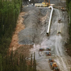 Images Dated 1975 July: 30 Jul 1975