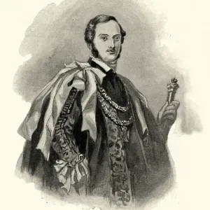 Vintage Print of Albert, Prince Consort at 22 Vintage Print of Albert, Prince Consort at 22