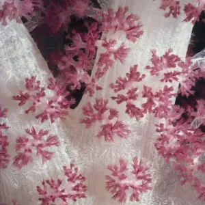 Alcyonarian Coral Alcyonarian Coral
