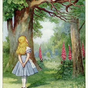 Alice and the Cheshire Cat Vintage Colour Lithograph Print Alice and the Cheshire Cat Vintage Colour Lithograph Print