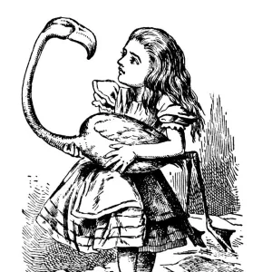 Alice Holding a Bird, Alices Adventures in Wonderland