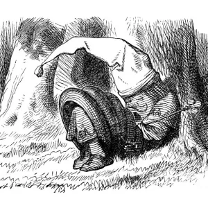 Alice through the looking glass Alice through the looking glass