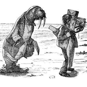 Alice through the looking glass Alice through the looking glass