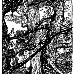 Alice looking out of tree illustration, (Alices Adventures in Wonderland) Alice looking out of tree illustration, (Alices Adventures in Wonderland)